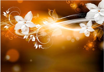 Fotobehangkoning - Behang - Vliesbehang - Fotobehang Glanzende Bloemen - Snow flower - 400 x 280 cm