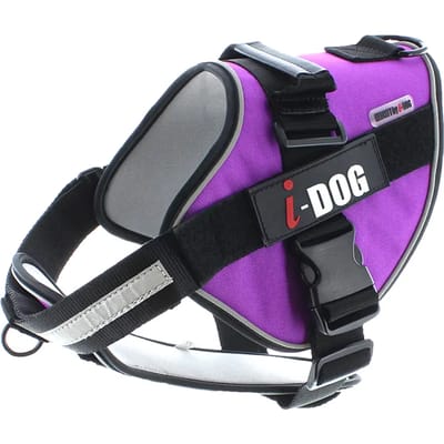 Hondentuig I-DOG NeoCITY