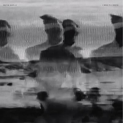 Routine Death - 2 Weeks To 4 Months (LP)