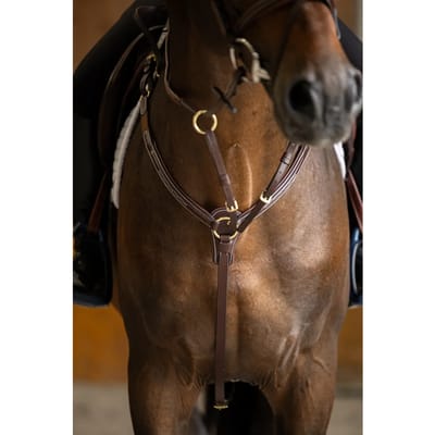 Jachthalsband voor paarden HFI Pro Line Arezzo