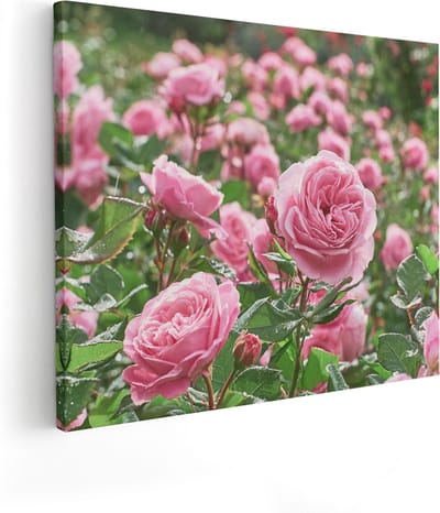Artaza Canvas Schilderij Rozen - 100x80 cm - Groot - Wanddecoratie Bloemen - Muurdecoratie Roze Rozen - Schilderijen Op Canvas Tuin