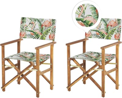 Opklapbare Tuinstoelen - Zetels Tuin - Zomerse Ontspanning - Verstelbare Rugleuning - Set van 2 - Grijs