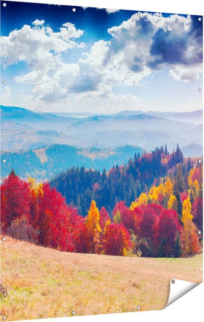 Gards Tuinposter Kleurrijke Herfstbos met Heuvellandschap - 120x160 cm - Tuindoek - Tuindecoratie - Wanddecoratie buiten - Tuinschilderij
