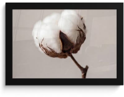 Poster in lijst - Fotolijst 30x20 cm - Posters - Katoenbol - Minimalistisch - Wit - Posterlijst zwart - Decoratie - Wanddecoratie woonkamer - Muurdecoratie slaapkamer