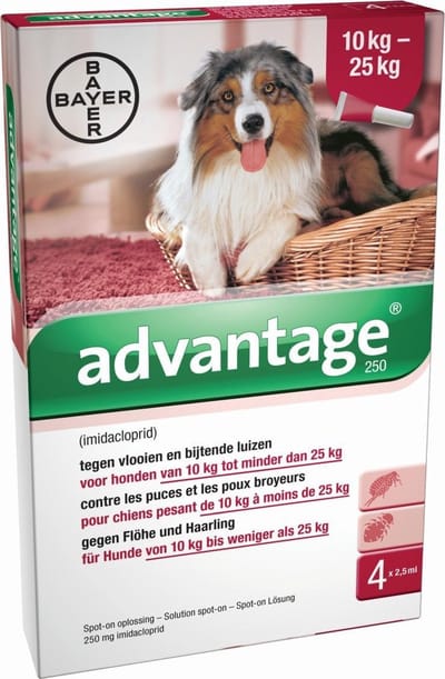 Advantage 250 Anti vlooienmiddel Hond - 4 pipetten