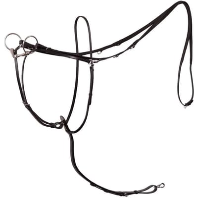 Martingale voor paarden BR Equitation Market Harborough Lancaster