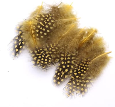 Pack van 50 Natuurlijke Veren voor Knutselen, Pasen, Decoratie, Kippenveren,