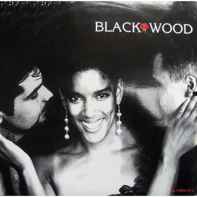 12 inch Plaat BLACKWOOD - All I Gave To You BV3027 Blue Village 1993 Italië Dance & Electronica Gebruikt gray