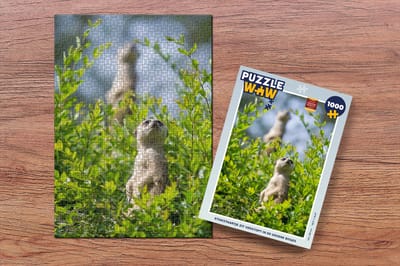 Puzzel Struiken - Stokstaartje - Dier - Legpuzzel - Puzzel 1000 stukjes volwassenen