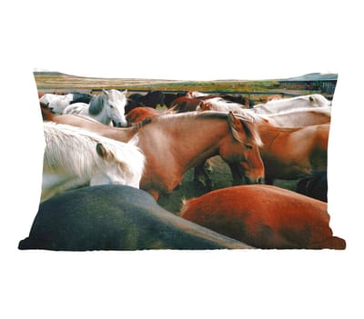 Sierkussens - Kussentjes Woonkamer - 60x40 cm - Paarden - Dieren - Wild