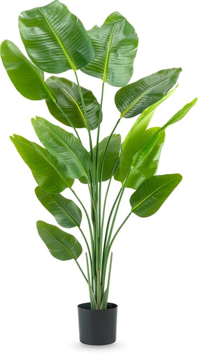 Easyplants | Kunstplant Strelitzia 180 cm real touch | Zijde | Strelitzia | Groen