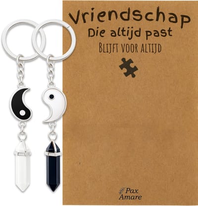 BFF Sleutelhanger voor 2 'Vriendschap die altijd past' - Yin Yang met Edelsteen - Sleutelhanger set op Cadeau Kaartje - Zilverkleurig - Vriendschap Symbool - Pax Amare