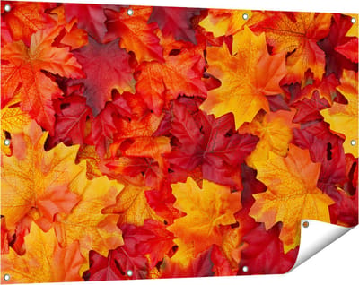 Gards Tuinposter Herfstbladeren in het Oranje en Rood - 120x80 cm - Tuindoek - Tuindecoratie - Wanddecoratie buiten - Tuinschilderij