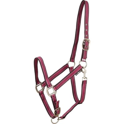 Pony halster HorseGuard Rio