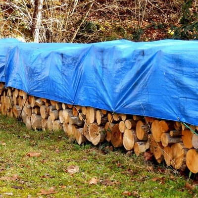 Afdekzeil Beschermend - Zeildoek Tuin - Buiten Beschermen - Versterkte Randen Oogjes - 6 x 8 Meter - Blauw