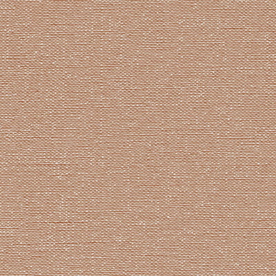 Dutch Wallcoverings - Tapestry Plain Orange - TP422405