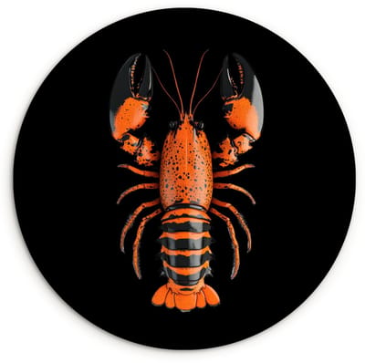 WallCircle® Wandcirkel 60x60 cm - Muurcirkel Kreeft - Oranje - Zwart - Modern - Muurdecoratie woonkamer - Wanddecoratie keuken - Kamer decoratie accessoires - Ronde schilderijen