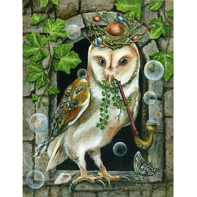 5D diamant schilderij uil op het raam diamant foto van strass diamant borduurwerk dier home decor geschenken 20X30CM black