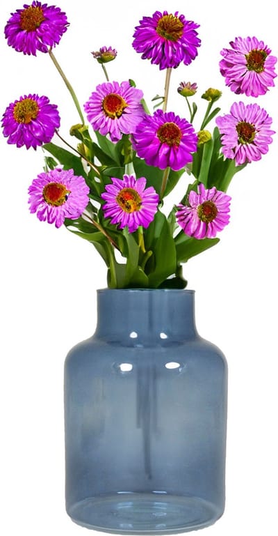 Bela Arte Bloemenvaas Milan - transparant blauw glas - 15 x 20 cm - melkbus vaas met smalle hals