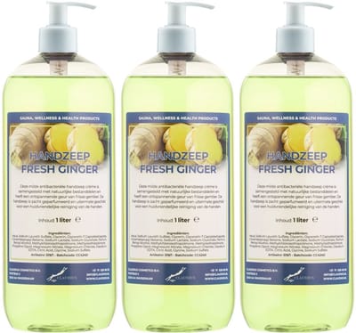 Handzeep Fresh Ginger 1 liter - set van 3 stuks - met gratis pomp - Voordeelverpakking