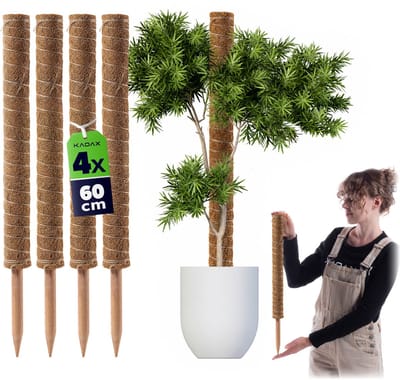 Cande kokos plantensteun 60 cm potondersteuning 4 st.