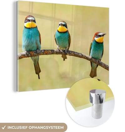MuchoWow® Glasschilderij 40x30 cm - Schilderij acrylglas - Vogels - Dieren - Bijeneter - Foto op glas - Schilderijen
