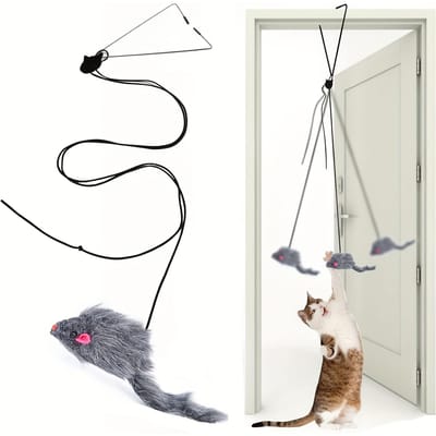Jouet suspendu pour chat pour porte Soulagement du stress Jouet suspendu d'intérieur pour salon Chaton suspendu one-size