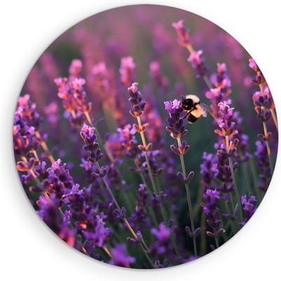 Saammp Muurcirkel Hout - Lavendel met bij - Natuur - Landschap - Ø 90 - Wandcirkel - Wanddecoratie Cirkel - Muurdecoratie Woonkamer - Slaapkamer decoratie - Rond Schilderij