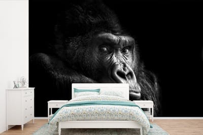 Behang - Fotobehang Gorilla - Aap - Zwart - Wit - Portret - Breedte 450 cm x hoogte 300 cm