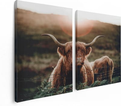 Artaza Canvas Schilderij Tweeluik Schotse Hooglander Koe In De Zon - 120x80 - Foto Op Canvas - Canvas Print