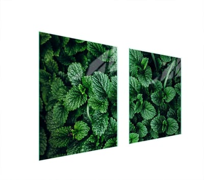 TMK ArtDeko Serie - Glazen Beschermplaat - 85x52 cm - Veiligheidsglas - Multifuntionele Keukenaccessoire