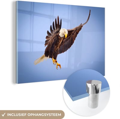 MuchoWow® Glasschilderij 60x40 cm - Schilderij acrylglas - Arend - Lucht - Dier - Foto op glas - Schilderijen