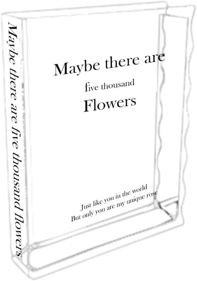 Boekenvaas Acryl - Transparante Vaas - Bloemstuk Maken - Uniek Boek Design - 20 x 16 cm - Transparant