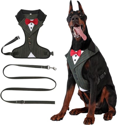 Formeel gestreept hondenpak met rode vlinderdas voor middelgrote tot grote honden, ideaal voor bruiloften, verjaardagen en speciale gelegenheden, stijlvol en comfortabel (L)