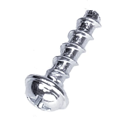 Screw