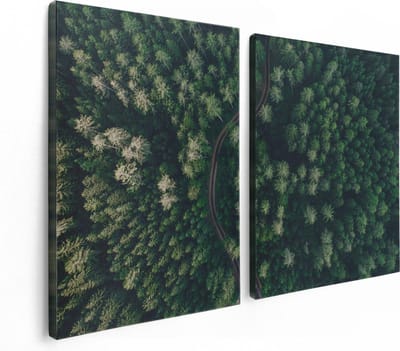 Artaza Canvas Schilderij Tweeluik Weg Door Bos Met Bomen - Bovenaanzicht - 120x80 - Foto Op Canvas - Canvas Print