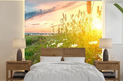 Behang - Fotobehang Bloemen - Madelief - Natuur - Zon - Horizon - Breedte 280 cm x hoogte 280 cm