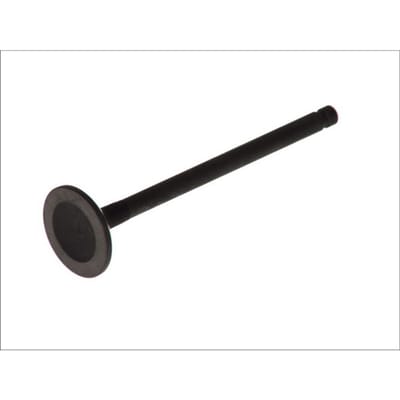 Uitlaatklep FRECCIA R6249/RNT