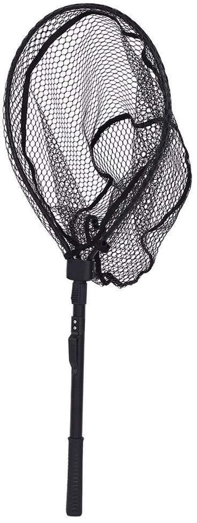 Dailygoods- Opvouwbaar Visvangnet - Telescoopgreep - Afmetingen 81 x