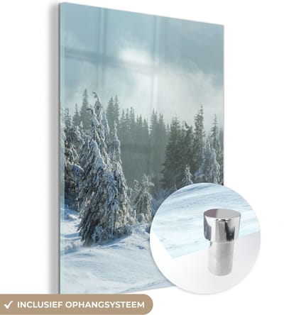 MuchoWow® Glasschilderij 30x40 cm - Schilderij acrylglas - Bos - Sneeuw - Winter - Foto op glas - Schilderijen