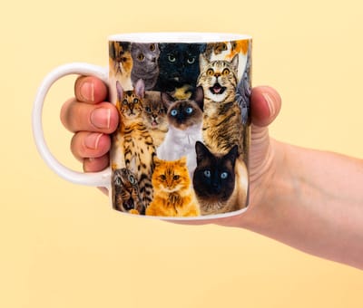 Crazy cat lady mok - Gift Republic
