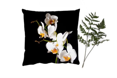 Sierkussens - Kussentjes Woonkamer - 50x50 cm - Orchidee - Bloemen - Planten - Botanisch