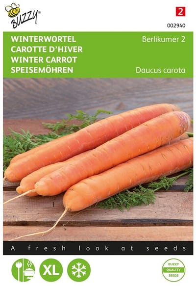 Buzzy Zaden Wortelen Berlikumer 2 - Daucus carota
