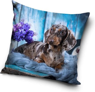 Hond - Sierkussen Kussen 40 x 40 cm inclusief vulling