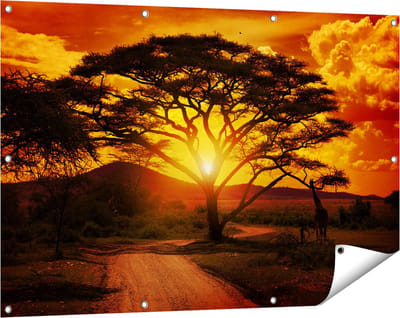 Gards Tuinposter Zonsondergang Achter een Savanne Boom - 120x80 cm - Tuindoek - Tuindecoratie - Wanddecoratie buiten - Tuinschilderij