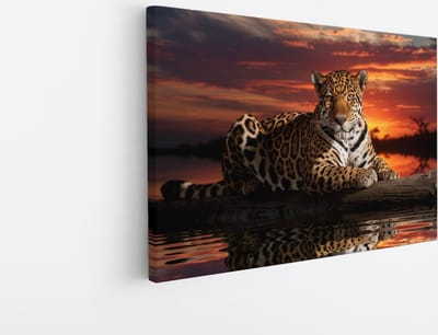 Saammp Canvas Schilderij - Jaguar in zonsondergang - Natuur - Dieren - 45x30 - Foto op canvas - Wanddecoratie - Muurdecoratie Woonkamer - Slaapkamer decoratie - Canvas Print