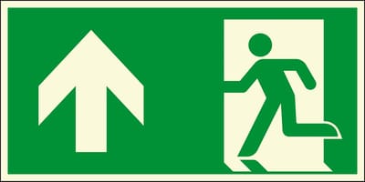 Lichtgevend nooduitgang bord pijl boven - kunststof - E001 300 x 150 mm
