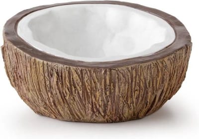 Tiki kokosnoot waterschaal