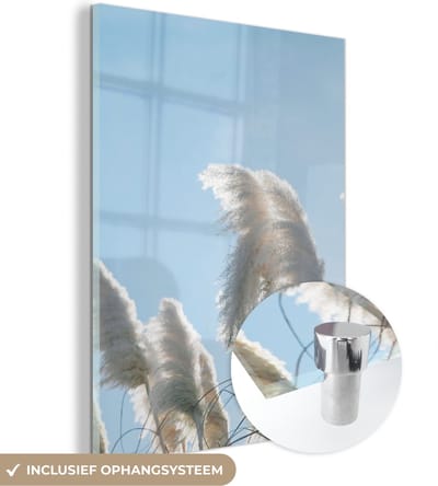 MuchoWow® Glasschilderij 30x40 cm - Schilderij acrylglas - Lucht - Gras - Pampasgras - Foto op glas - Schilderijen