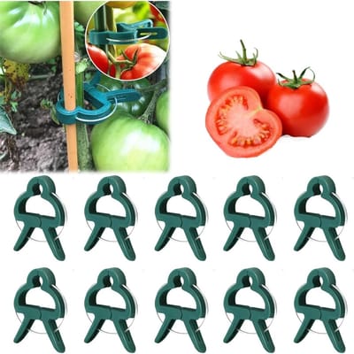 Daity 50 stuks - vaste kunststof plantenklemmen - plantensteunklemmen - herbruikbare tuinklemmen - klimplantenklemmen - transparante plantenklemmen